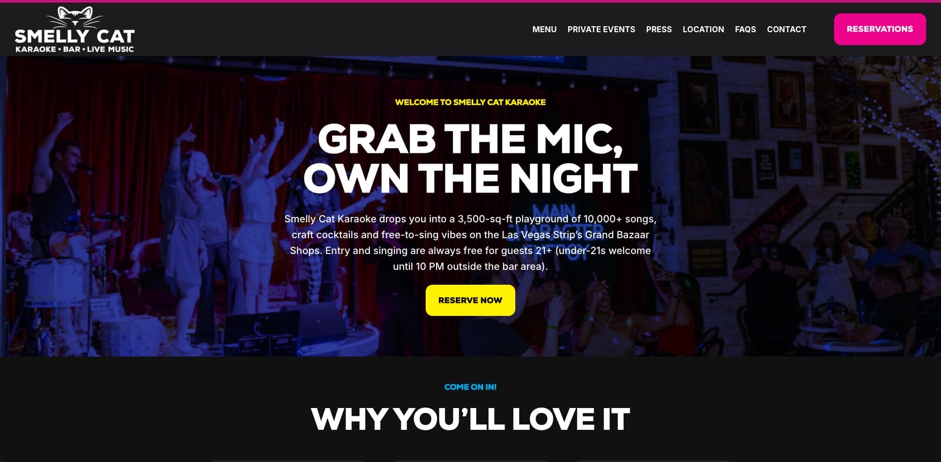 smellycatvegas.com project screenshot